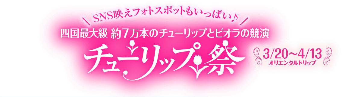 SNS映えフォトスポットもいっぱい♪ 四国最大級 約7万本のチューリップとビオラの競演 チューリップ祭