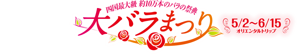 四国最大級 約10万本のバラの祭典 大バラまつり